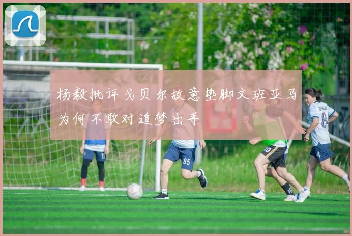 杨毅批评戈贝尔故意垫脚文班亚马为何不敢对追梦出手